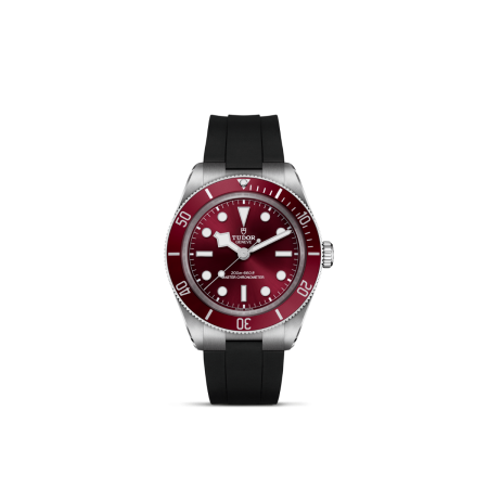 TUDOR Black Bay 58